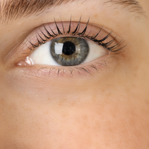 Nahaufnahme eines Auges mit perfekt gelifteten Wimpern und gestylter Augenbraue – Lash & Browlifting in Idstein Rhein-Main.